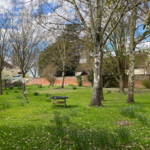 Grass and trees