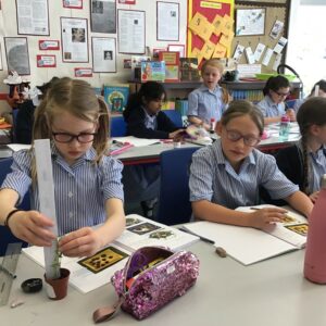 Year 3 Science Germinating